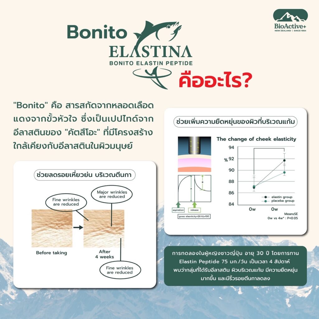 Bioactive+ Concentrared Liquid Collagen ingredient