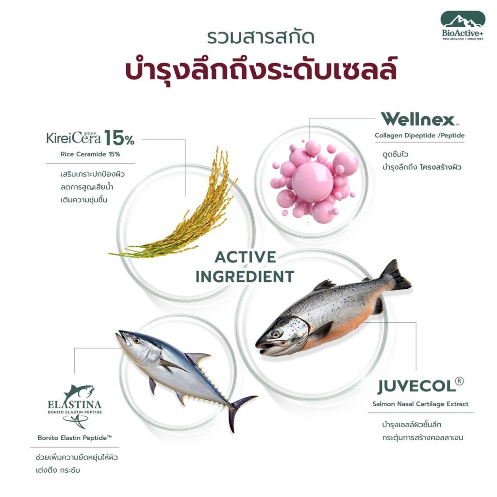 Bioactive+ Concentrared Liquid Collagen ingredient