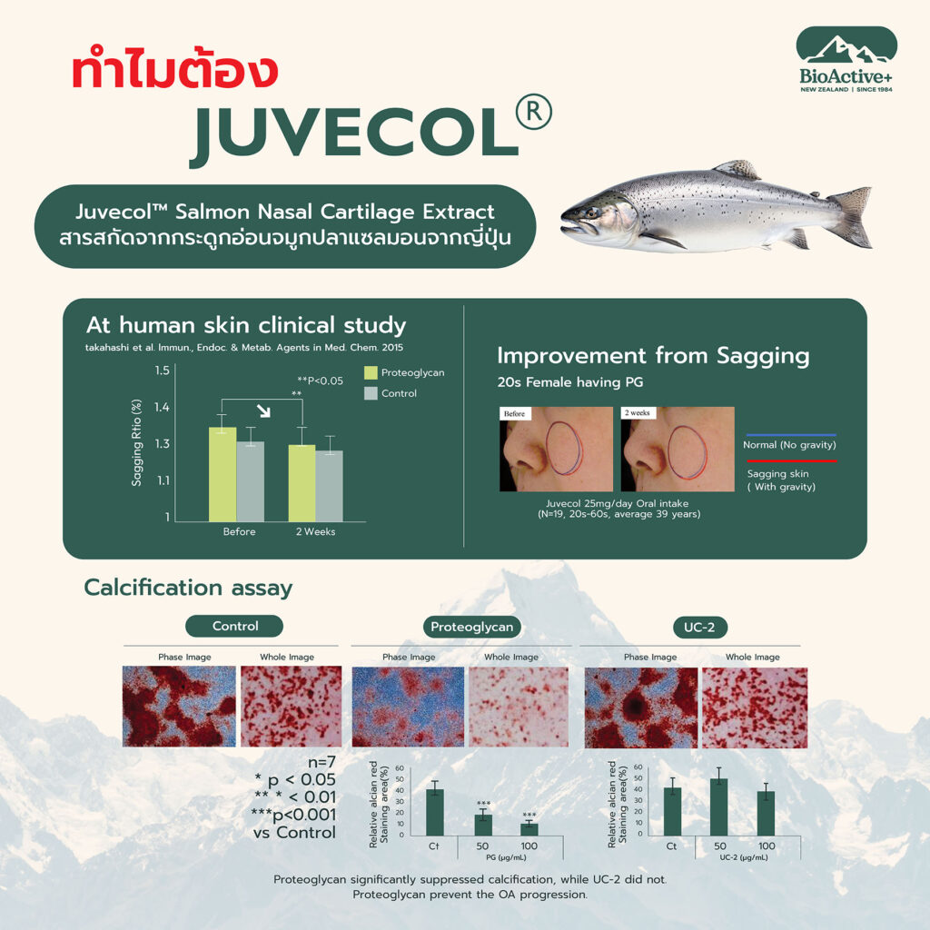 BioActive Collagen Dipeptide คอลลาเจน Peptide Juvecol